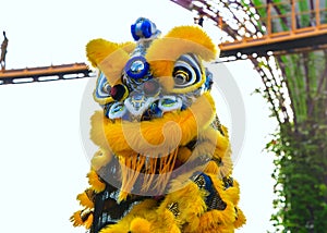 Performance of artists in a dragon costume for the Chinese new year in Singapore