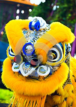 Performance of artists in a dragon costume for the Chinese new year in Singapore