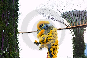 Performance of artists in a dragon costume for the Chinese new year in Singapore