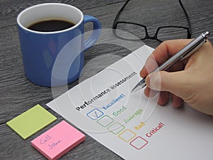 Performance assessment - excellent