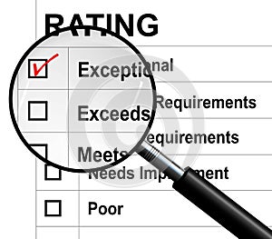 Performance Rating