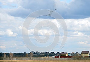 The performance of the Strizhi aerobatic team on the multi-purpose highly maneuverable MiG-29 fighters over the Myachkovo airfield photo