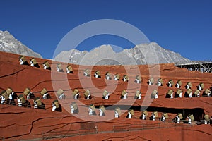 Performers at Impression Lijiang