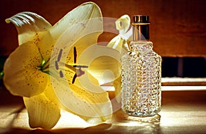 Perfume, Aromatherapy, Orchid.