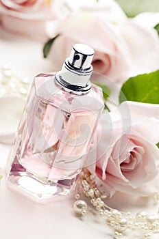 Perfume Bottle