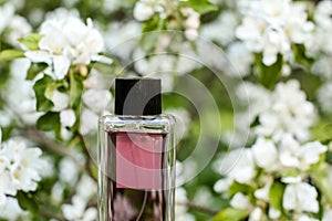 Perfume bottle on a background of white flowers