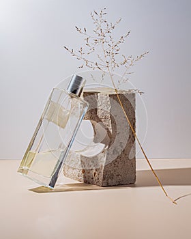 Perfume bottle glass luxury packaging with stone concrete and dry grass. trendy