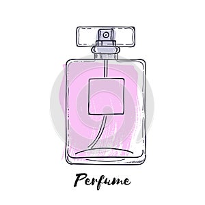 Perfume bottle hand drawn painted vector illustration. Eau de parfum.