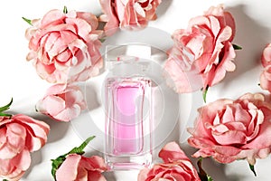 Perfume bottle in pink flower roses. Spring background with luxury aroma parfume. Beauty cosmetic shot photo