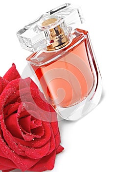 Perfume bottle and rose