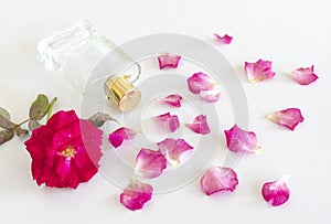 Perfume bottle with rose flower and petals