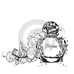 Perfume bottle vector. Fashion & Style. Perfume and orchid.