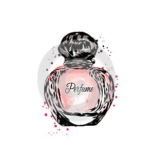 Perfume bottle vector. Fashion & Style. Perfume and orchid.