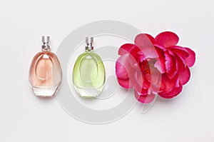 Perfume bottles and pink flowers peonies on light gray background top view Flat lay copy space. Perfumery, cosmetics, female