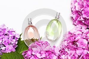 Perfume bottles and pink hydrangea flowers on light gray background top view Flat lay copy space. Perfumery, cosmetics, female