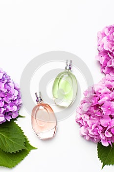 Perfume bottles and pink hydrangea flowers on light gray background top view Flat lay copy space. Perfumery, cosmetics, female