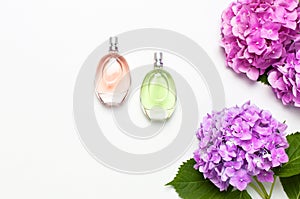 Perfume bottles and pink hydrangea flowers on light gray background top view Flat lay copy space. Perfumery, cosmetics, female