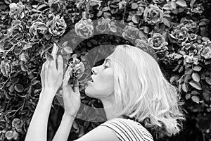 Perfume and cosmetics. Woman in front of blooming roses bush. Blossom of wild roses. Secret garden concept. Aroma of