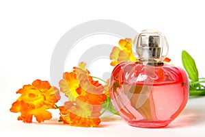 Perfume and flower isolated