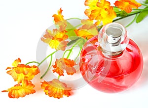 Perfume and flower isolated