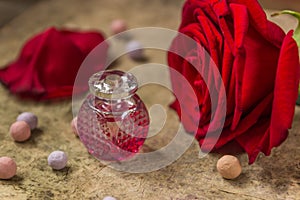 Perfume in a glass bottle, red rose flower