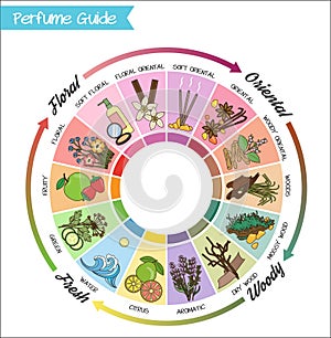 Perfume guide wheel infographic.