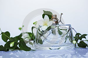Perfumery