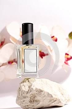 Perfumery, stone and orchid backdrops