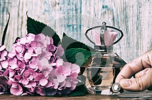 Perfumes and hydrangea on a blue wooden background