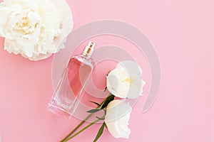 Perfumes of natural cosmetics in a glass bottle on a pink background and buds of fresh peonies. a copy of the space. top view