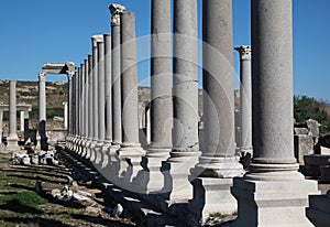 Perga Ancient City, Antalya. photo