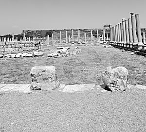 perge old construction in asia turkey the column and the roman