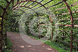 Pergola