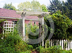 Pergola as entrance to garden