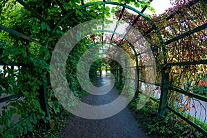 Pergola or flower tunnel arch overgrown with green plants in a romantic summer garden