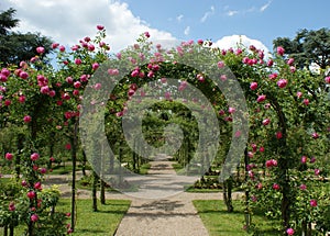 Uscire francese giardino 