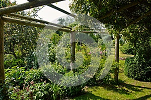 Pergola gazebo in a beautiful garden