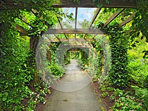 Pergola passage