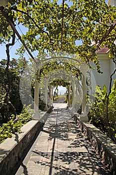 Pergola passage in the garden