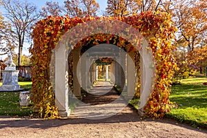 Pergola in private garden of Farmer palace in Alexandria park, Saint Petersburg, Russia