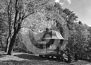 The Pergola of Sinaia Monastery  - monochrome version photo