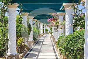 Pergola. Sources Kallithea (Terme Kalithea). Rhodes Island