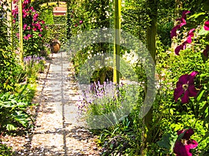 The pergola in summertime