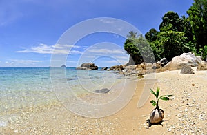 Perhentian islands beach