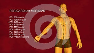 Pericardium Meridian, 3D Illustration, Acupuncture