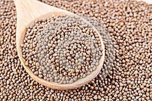 Perilla herb seeds