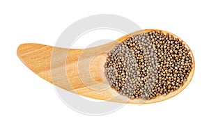 Perilla herb seeds in wooden spoon isolated on white background