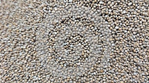 Perilla Seeds