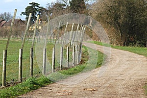 Perimeter fencing 1