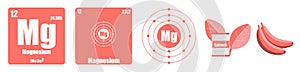 Periodic Table of element group II the alkaline earth metals